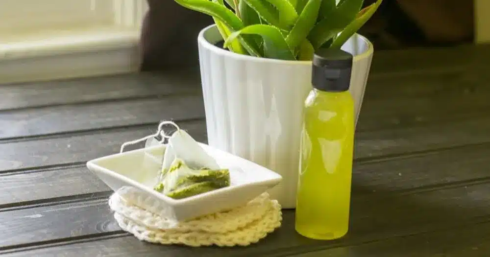 Green tea and aloe vera toner